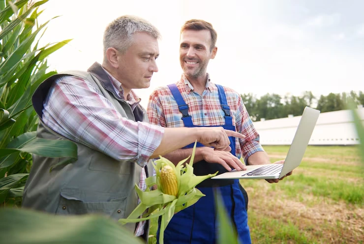 Accounting Services for Farmers